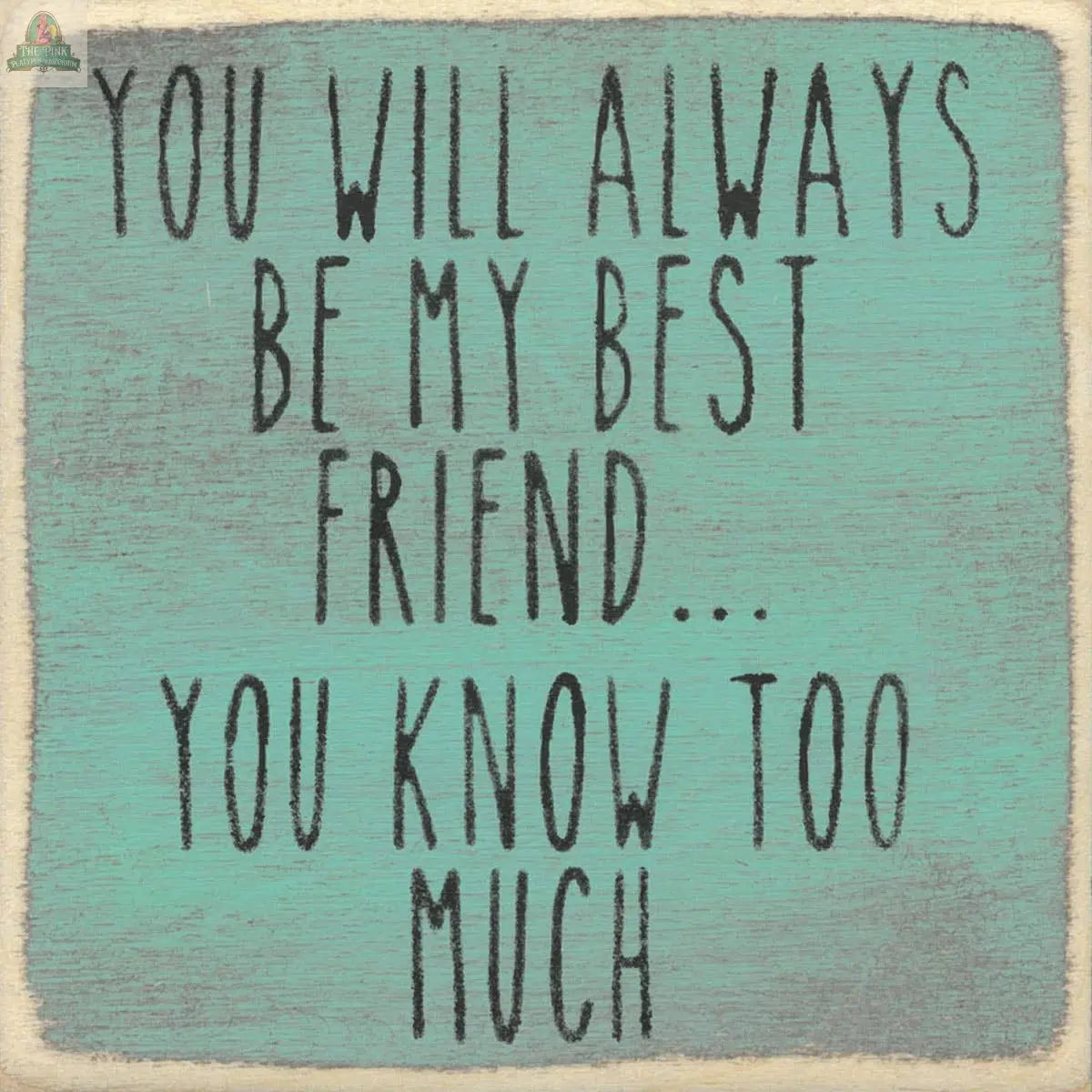 The Gar Wholesale Inc. 4X4-Know Too Much wooden block sign features rustic teal paint, black text saying “You will always be my best friend... you know too much,” and distressed edges for a charming vintage vibe.