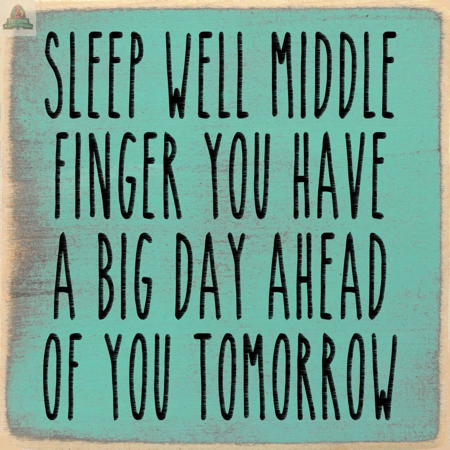 Text on a teal background reads: Sleep well middle finger you have a big day ahead of you tomorrow. The bold, black quote is featured on the 5X5-Sleep Well sign from Pink Platypus Emporium—ideal for quirky home decor or as a fun accent piece.