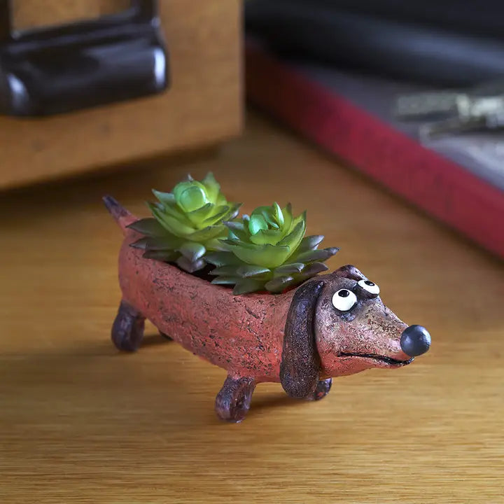 Dog-shaped planter with succulents on a wooden surface