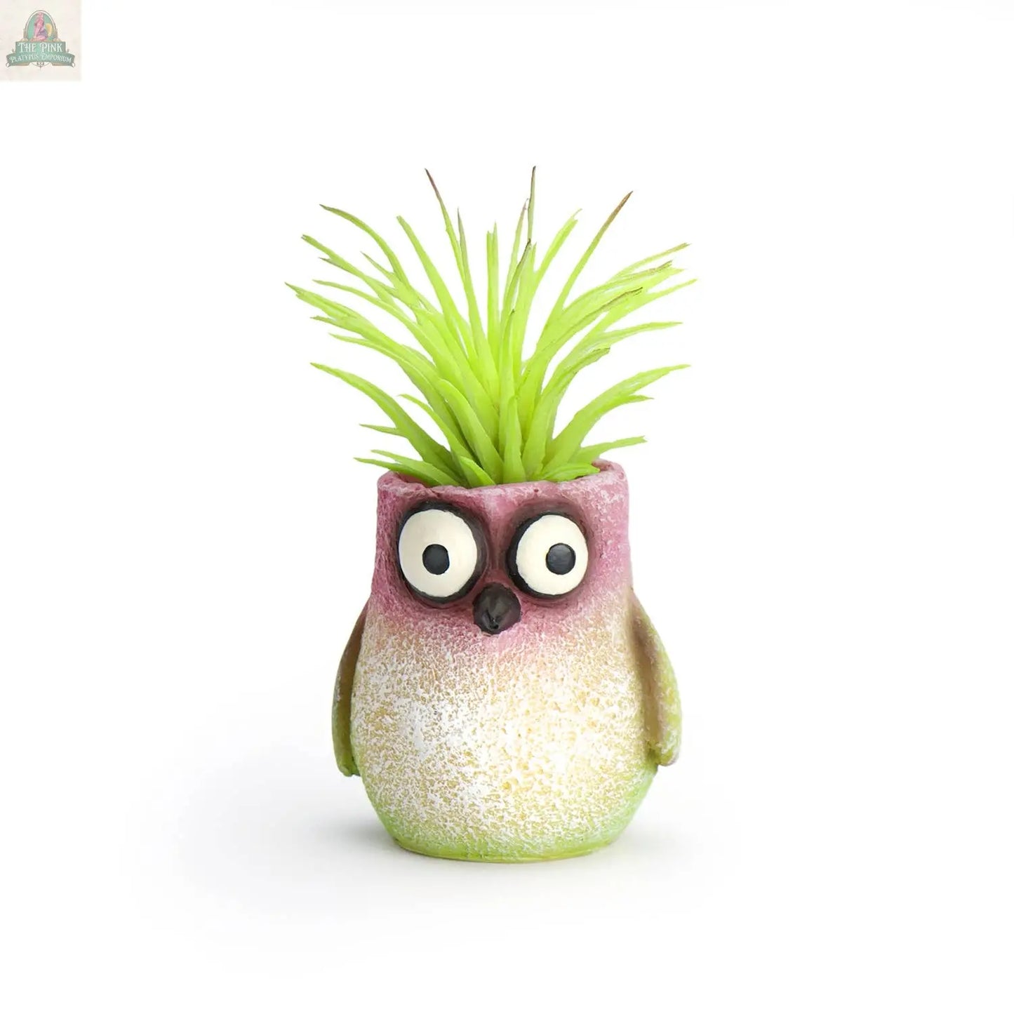 Baby Hummingbird - Mini Blobhouse Planter - Bitty Pink Platypus Emporium