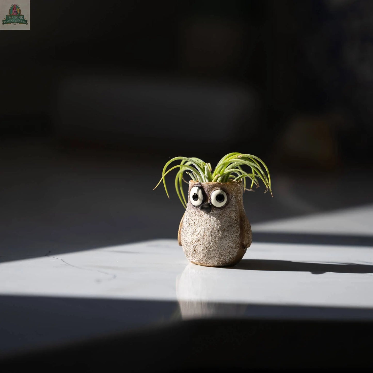 Baby Sandpiper Bird, Speck, Mini Blobhouse Planter Pink Platypus Emporium