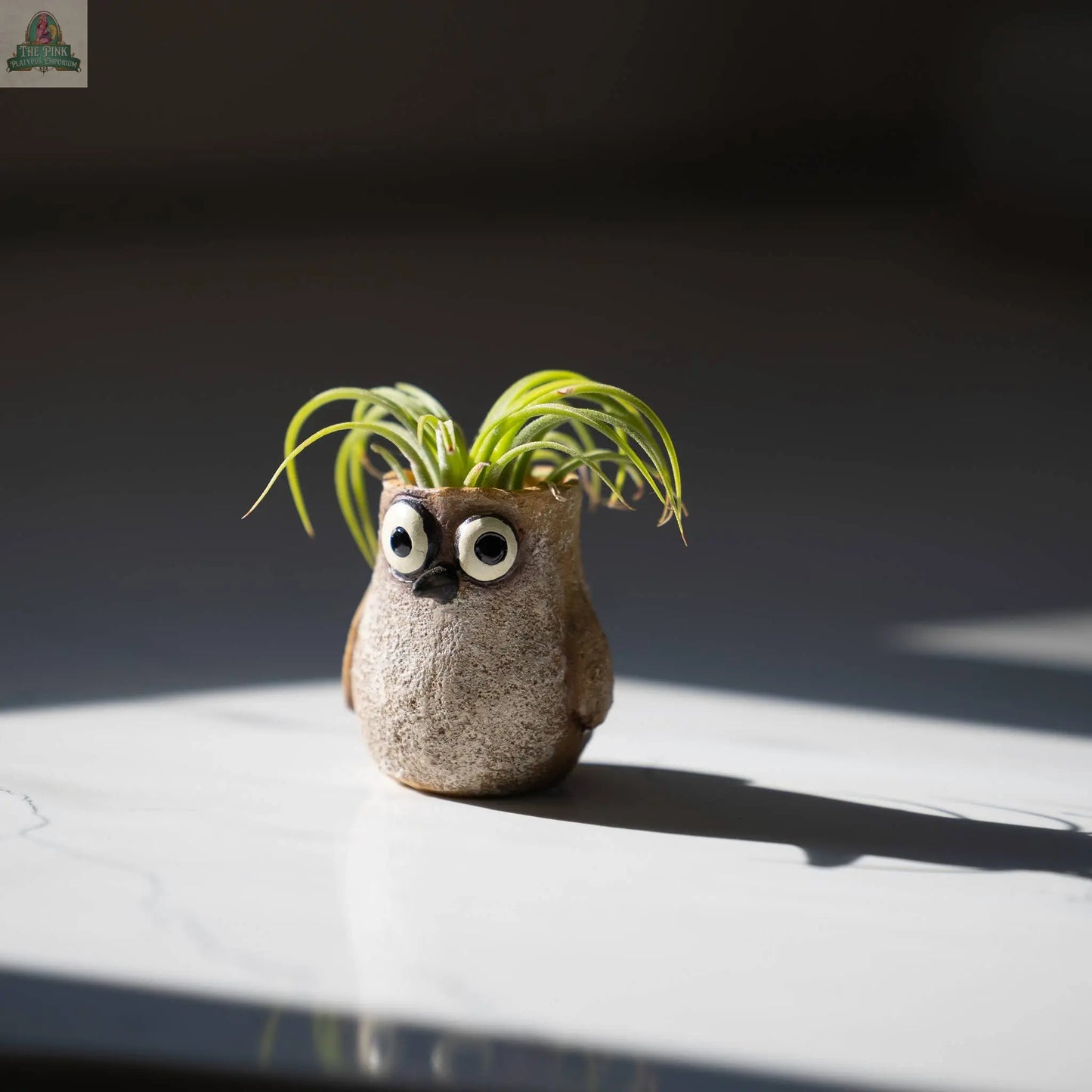 Baby Sandpiper Bird, Speck, Mini Blobhouse Planter Pink Platypus Emporium