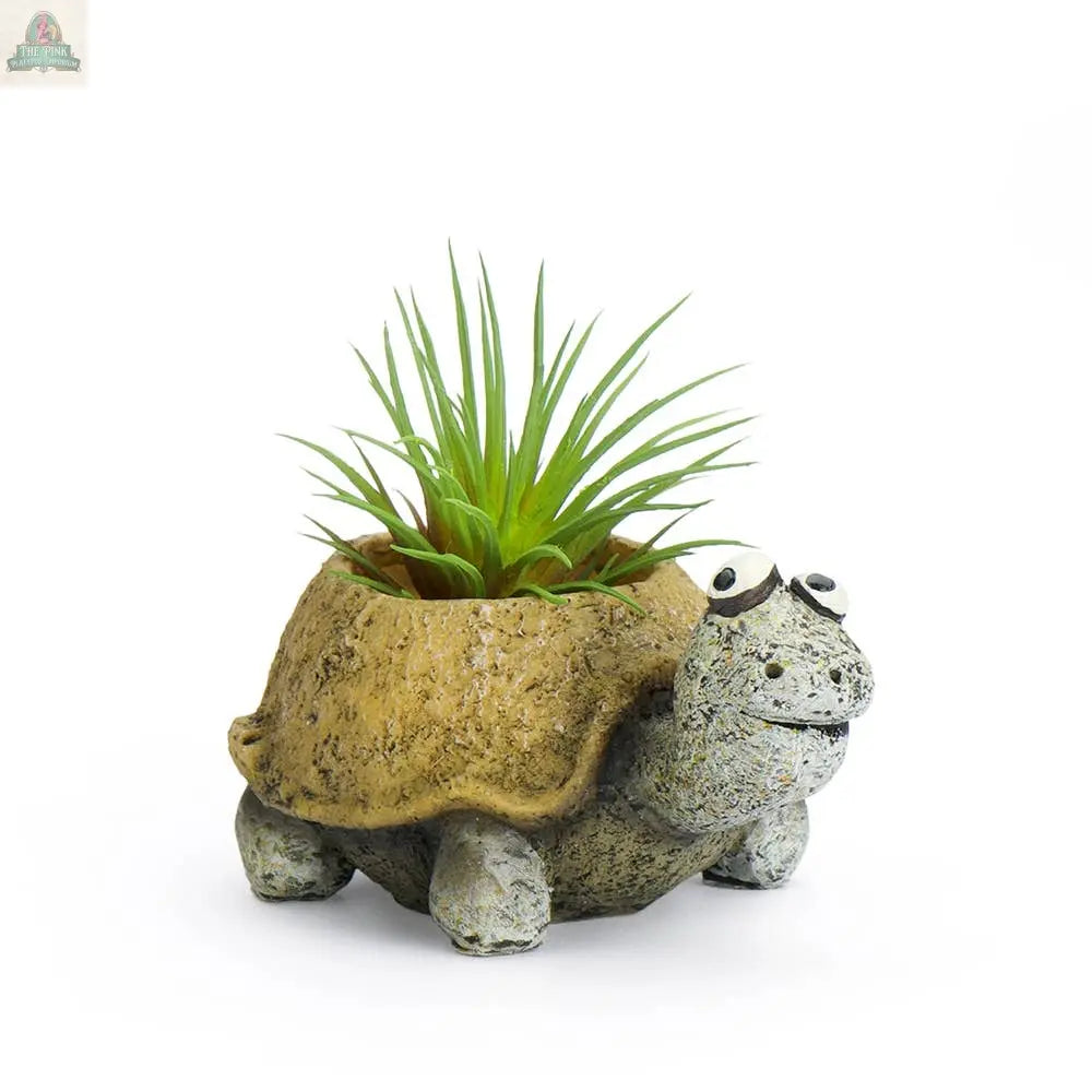 Baby Tortoise, Preston, Mini Blobhouse Planter Pink Platypus Emporium
