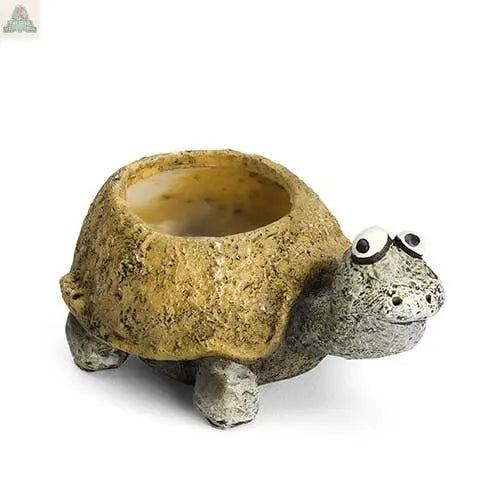 Baby Tortoise, Preston, Mini Blobhouse Planter Pink Platypus Emporium