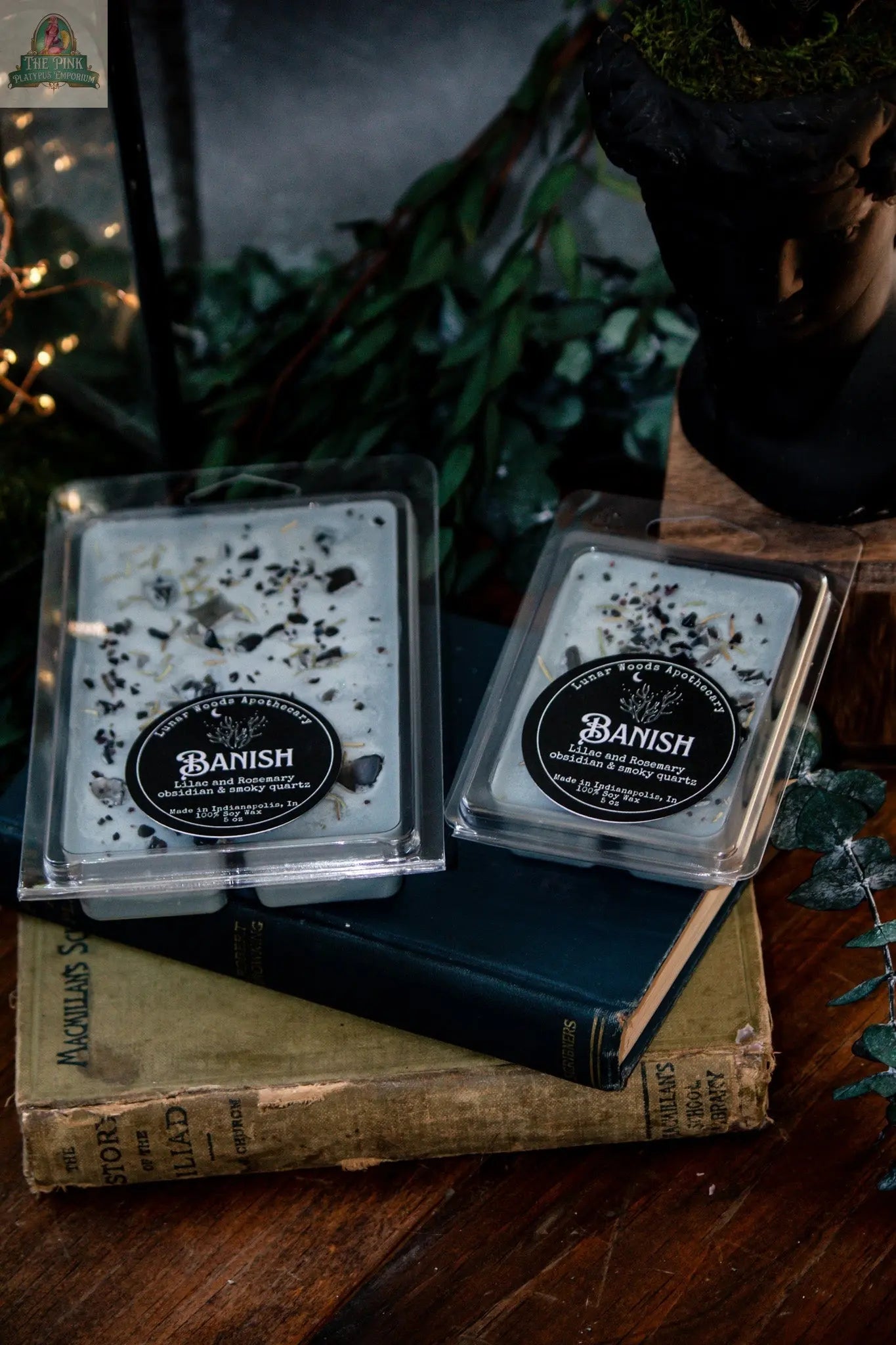 Two packages of Banish — Witchy Wax Melts with herbal toppings sit atop vintage books, surrounded by green leaves and an obsidian candle, creating a perfect bad vibes cleanser on a wooden surface.
