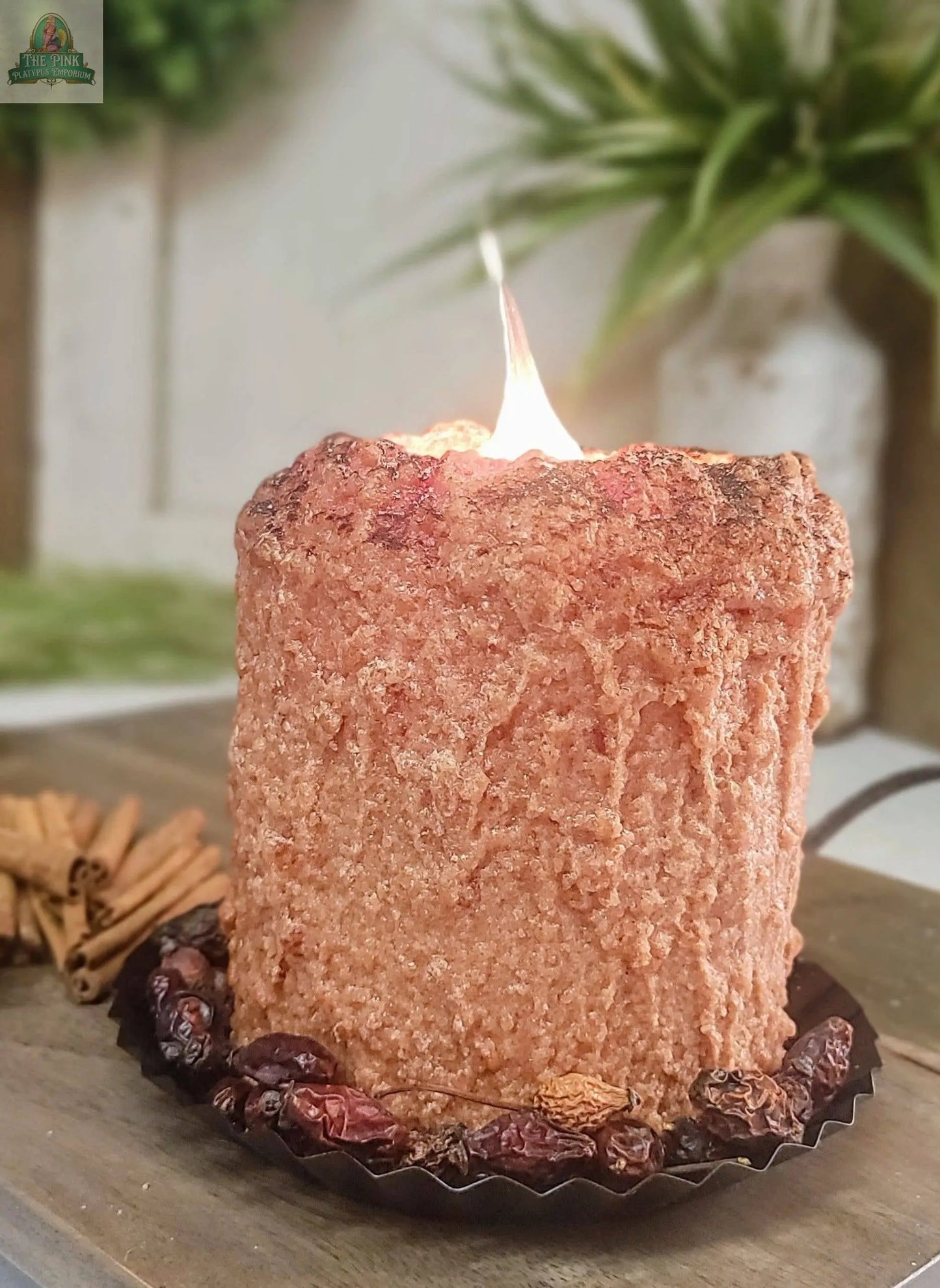The Cinnamon Bun Electric Candle glows warmly on a decorative dish with dried berries, while cinnamon sticks rest nearby and green leafy plants blur in the background. Its rustic, textured brown design adds inviting charm to the scene.