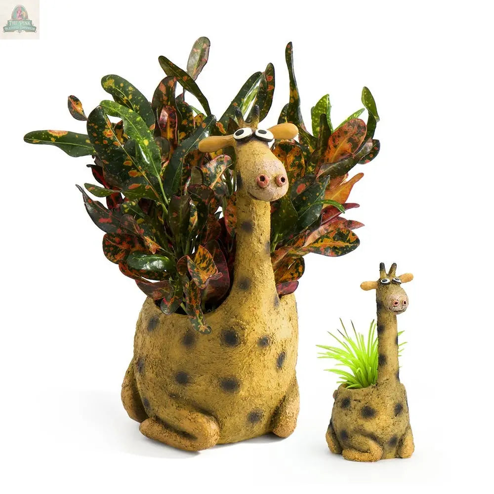 George the Giraffe Blobhouse Planter Pink Platypus Emporium