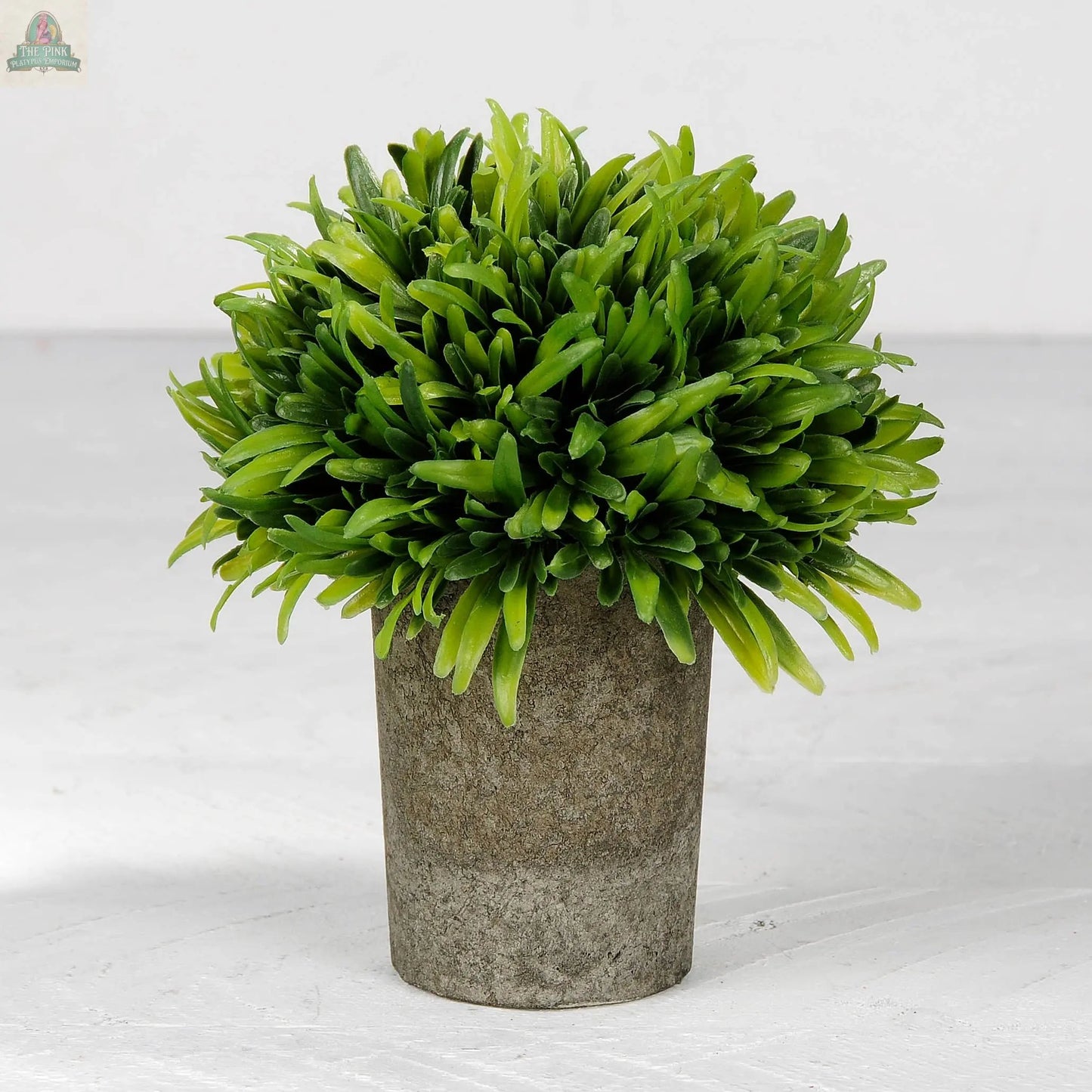 The Grass In Gray Skinny Pot features a small, dense green plant with long, narrow leaves in a gray textured pot, making it an ideal home accent or inspirational gift for any space.