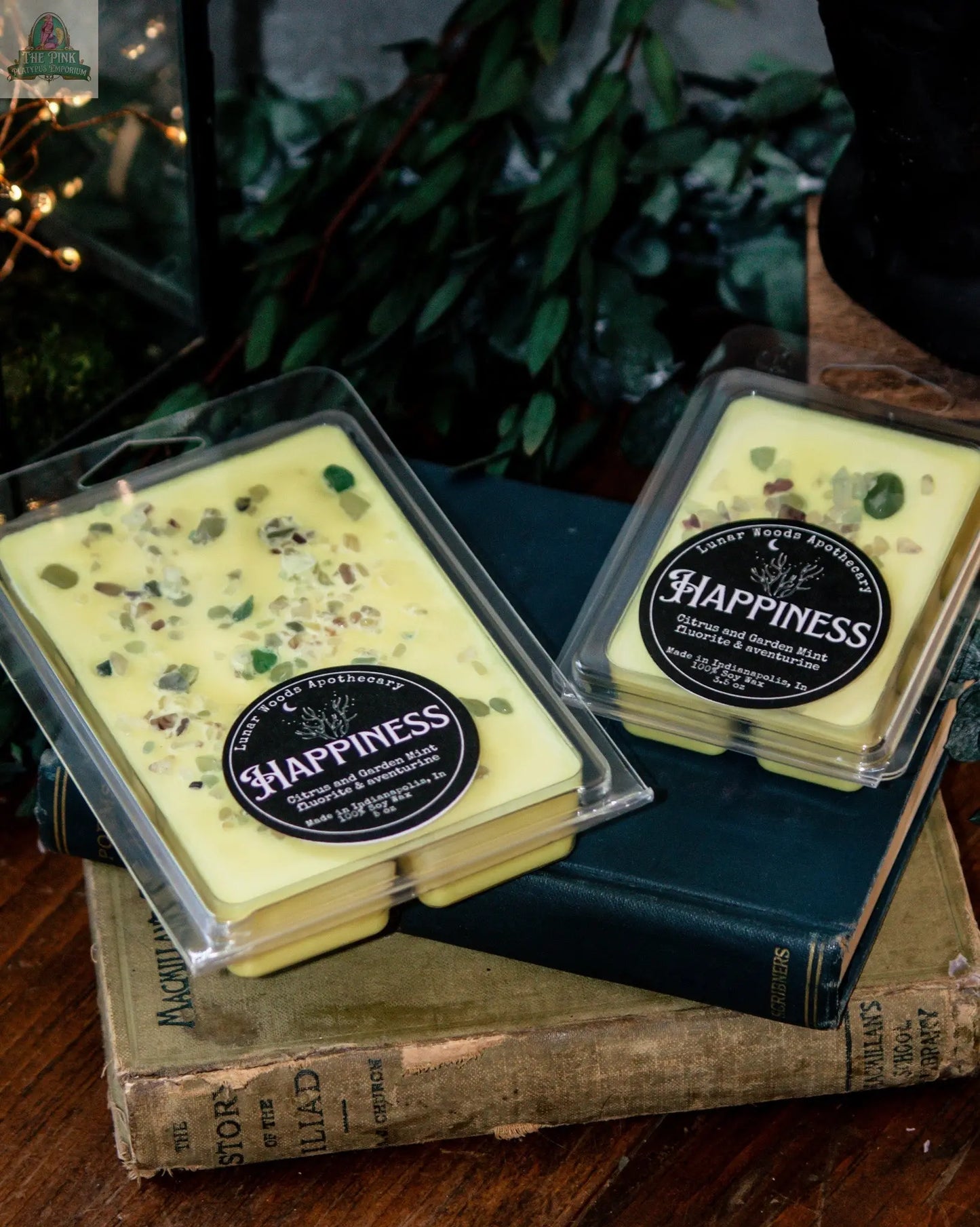 Two packs of Happiness — Witchy Wax Melts, topped with garden mint and herbs, are displayed on stacked vintage books with greenery and warm lights in the background, ready for your favorite wax warmer.