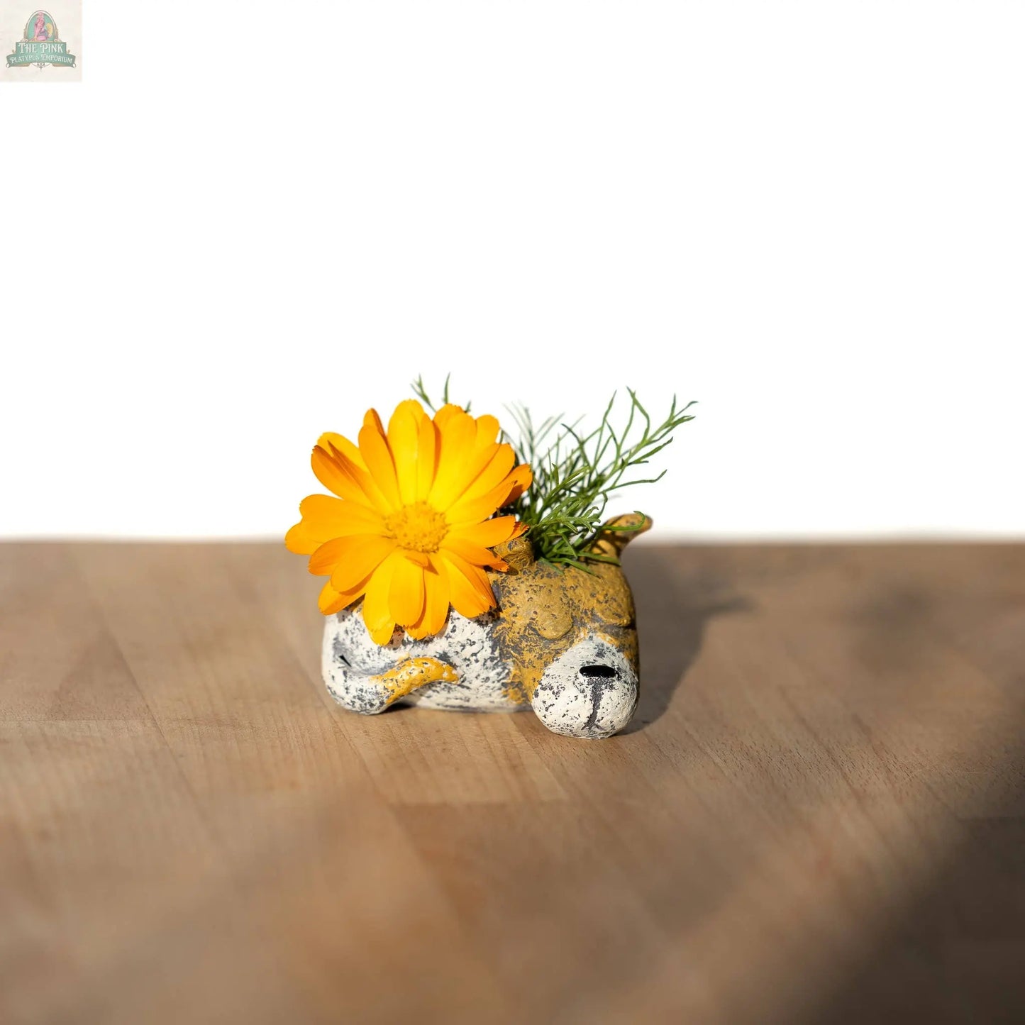 Mini Luna Dog Blobhouse Planter - Brown & White Pink Platypus Emporium