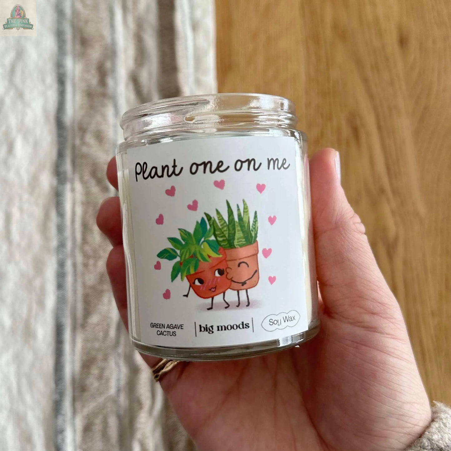 "Plant One On Me" Green Agave Cactus - 5oz Soy Candle Big Moods