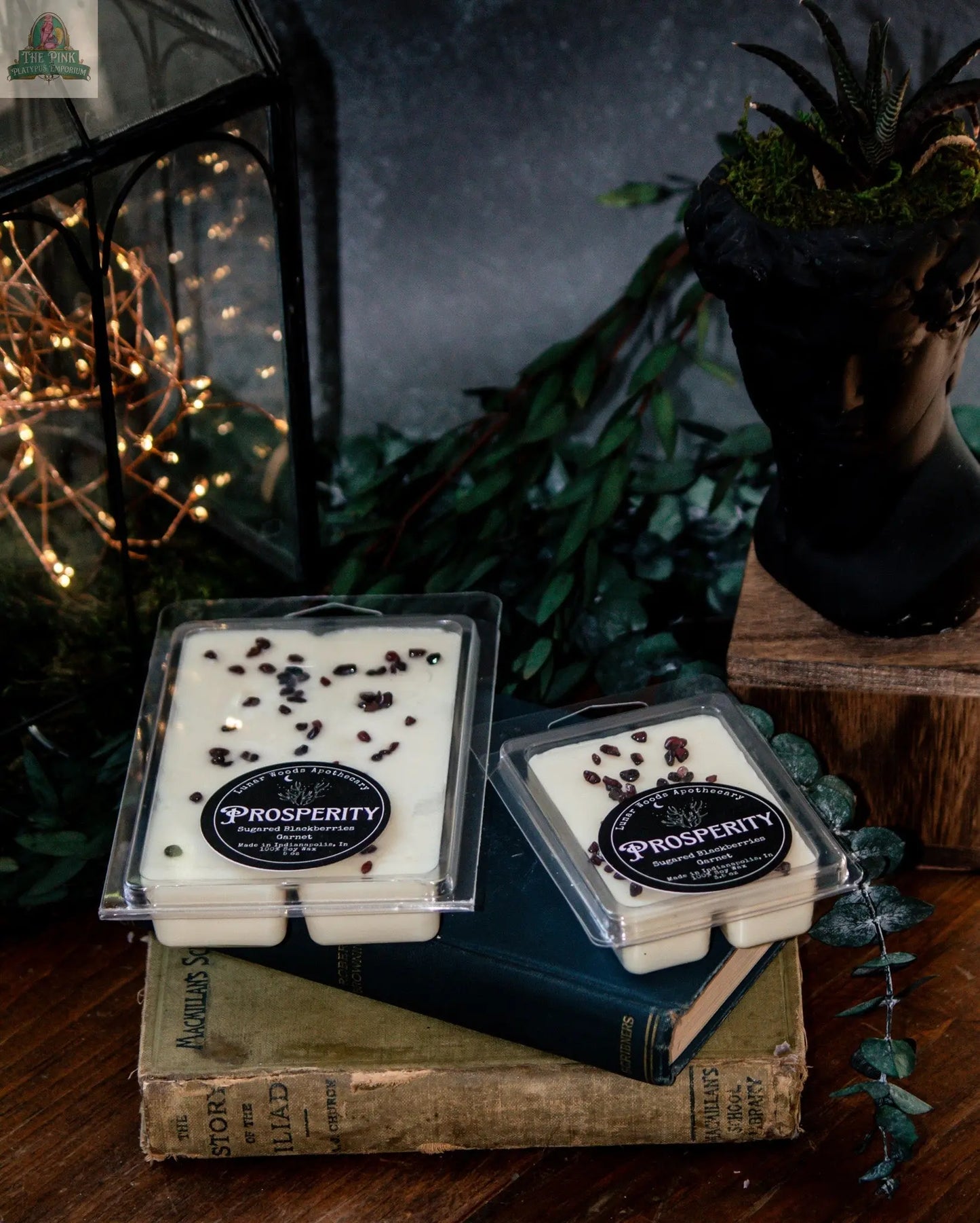 Two Prosperity — Witchy Wax Melts, Blackberry Abundance Blend, rest on vintage books surrounded by greenery, a garnet-black mannequin head planter, and a glowing lantern, creating a cozy, mystical ambiance.