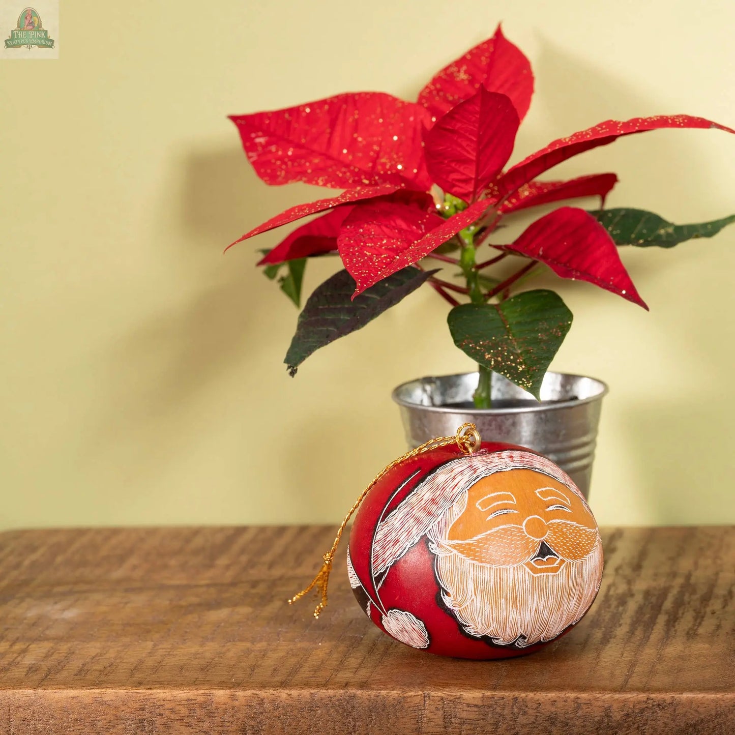 Santa Smile - Mini Gourd Ornament - Natural Holiday Pink Platypus Emporium