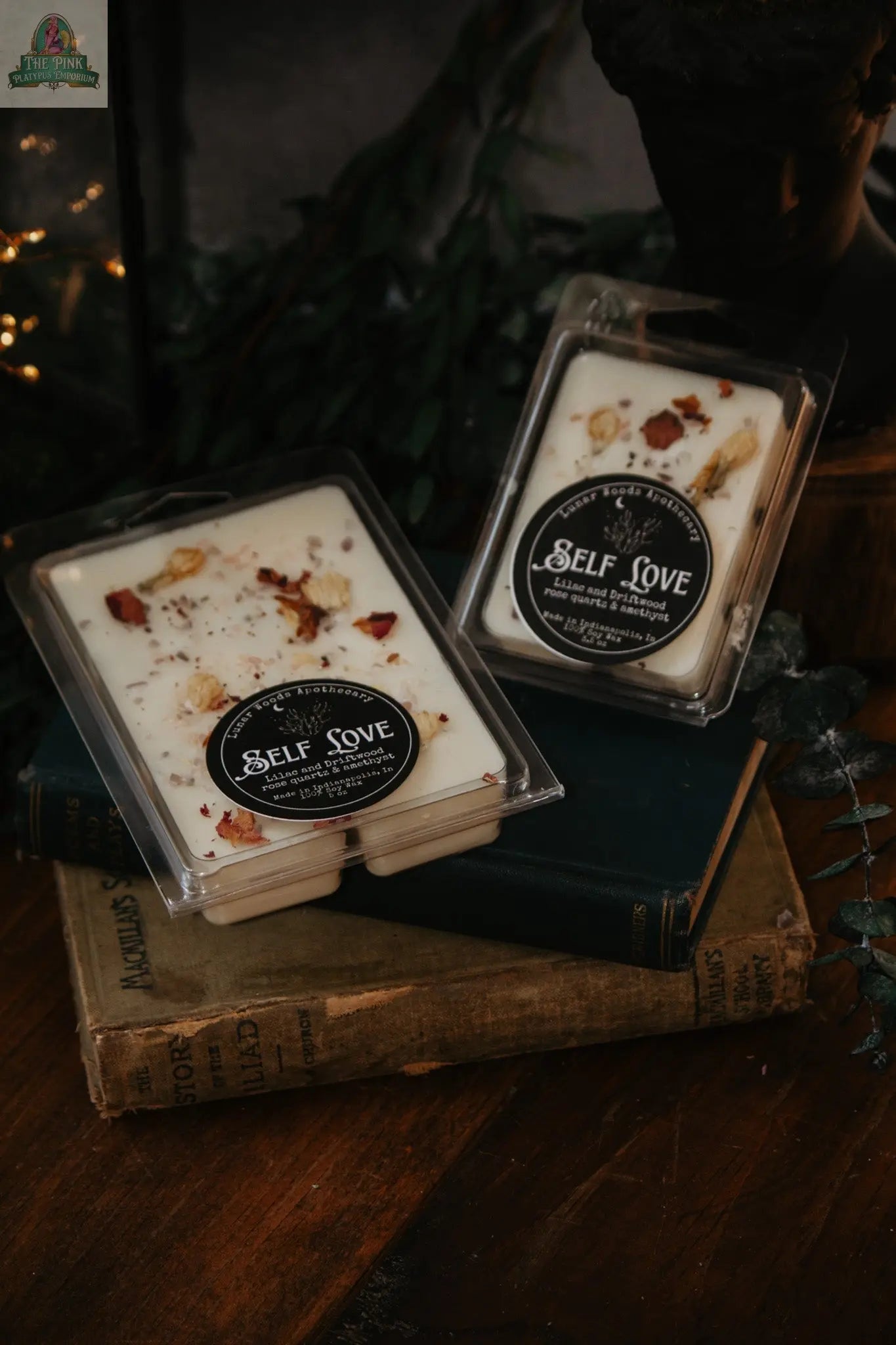 Two packages of "Self Love — Witchy Wax Melts," white wax melts with a floral woody scent and dried flower petals on top, are shown on vintage books amid dark green foliage, bathed in warm, ambient light.