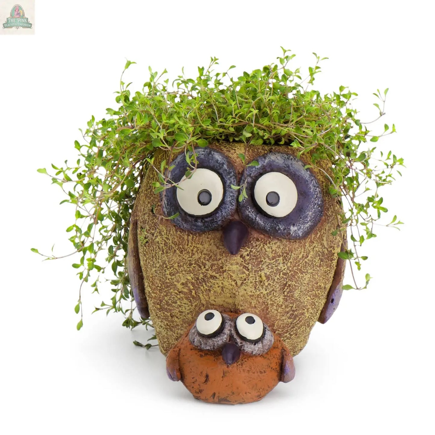 Sissy & Bab Owl Bird Blobhouse Planter Pink Platypus Emporium