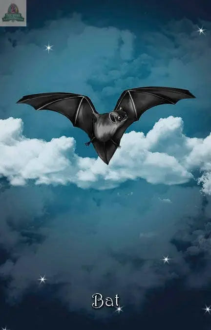 A black bat with outstretched wings soars before clouds and a starry sky. "Bat" is inscribed below, capturing the mystical energy of The Witch's Oracle, 2nd Edition by Pink Platypus Emporium.