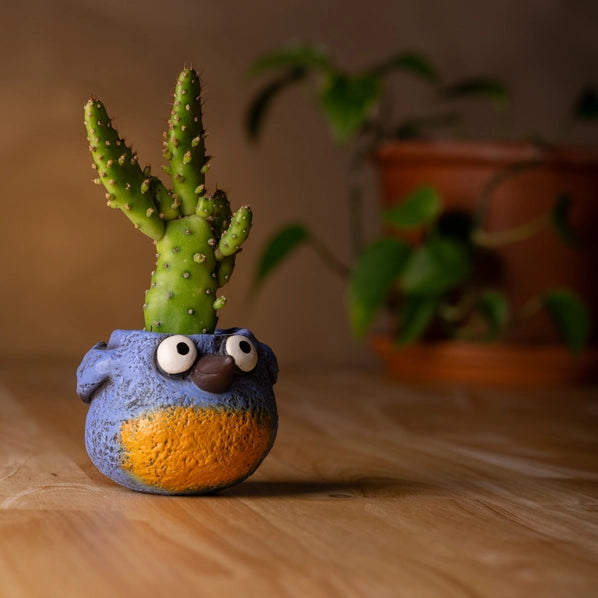 Baby Blue Bird Blobhouse Planter - Winkle