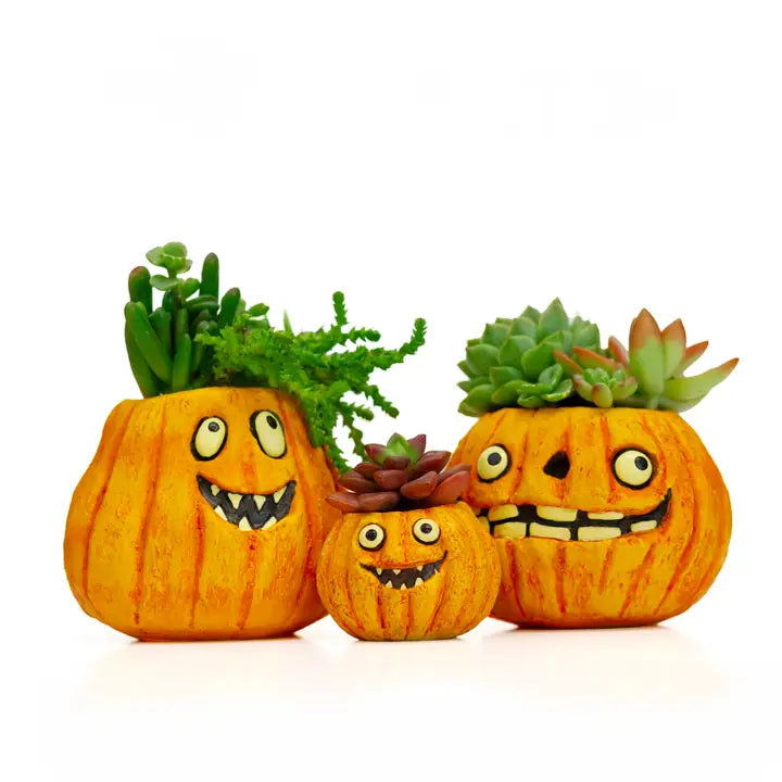 Limited Edition Fall & Halloween Blobhouse Planters | Spooky Succulent Pots