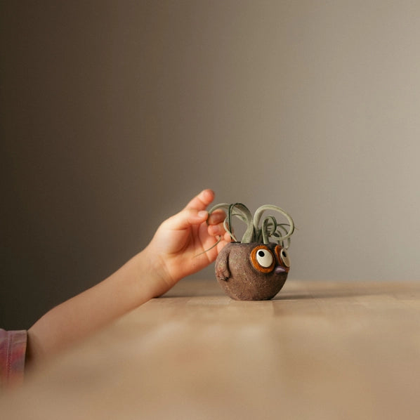 Baby Brown Owl - Owen - Mini Blobhouse Planter