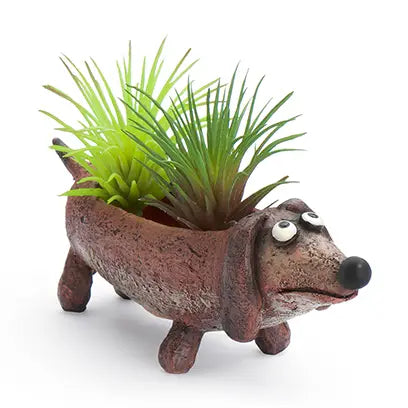 Dog-shaped planter with green succulents on a white background