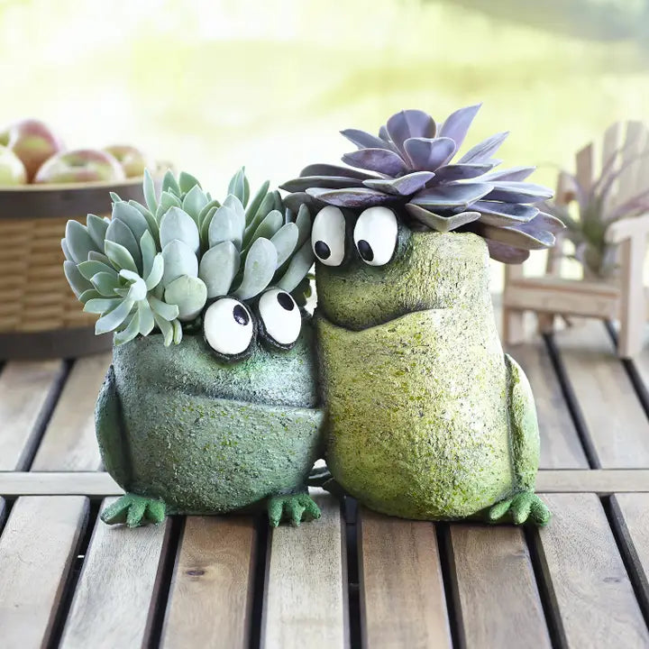 Two frog-shaped planters with succulents on a wooden surface