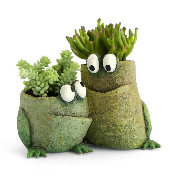 Two green frog-shaped planters with succulents and googly eyes on a white background