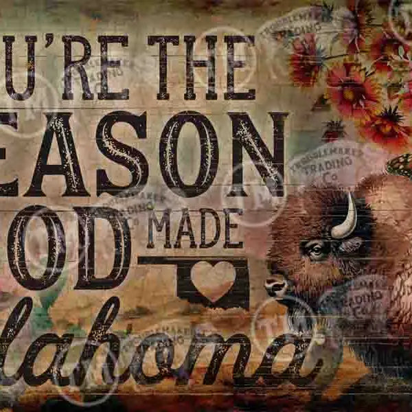 western wall art with text and a bison, featuring a rustic design.