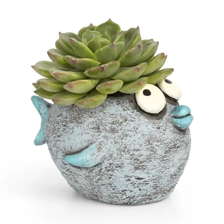 planter shaped like a fish with a succulent on top, on a white background