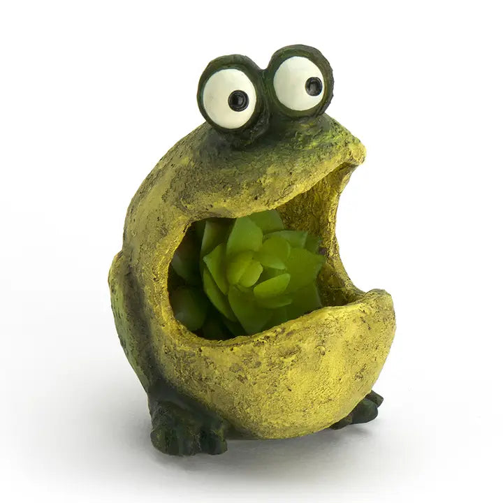 Frog-shaped planter with a succulent inside its mouth on a white background