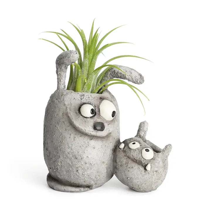 animal planters with air plant on a white background