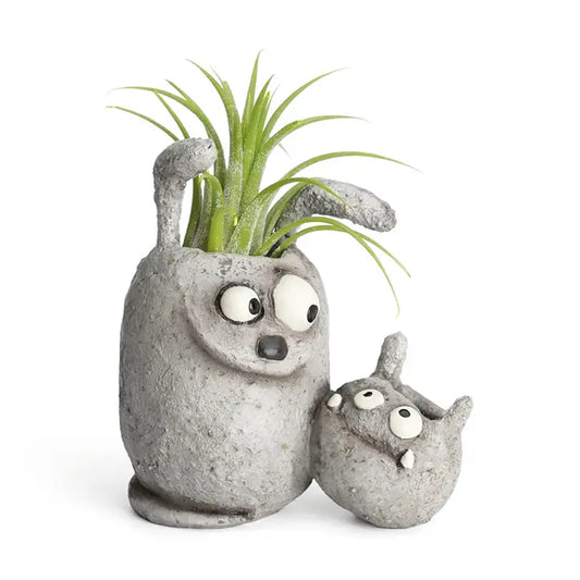 animal planters with air plant on a white background