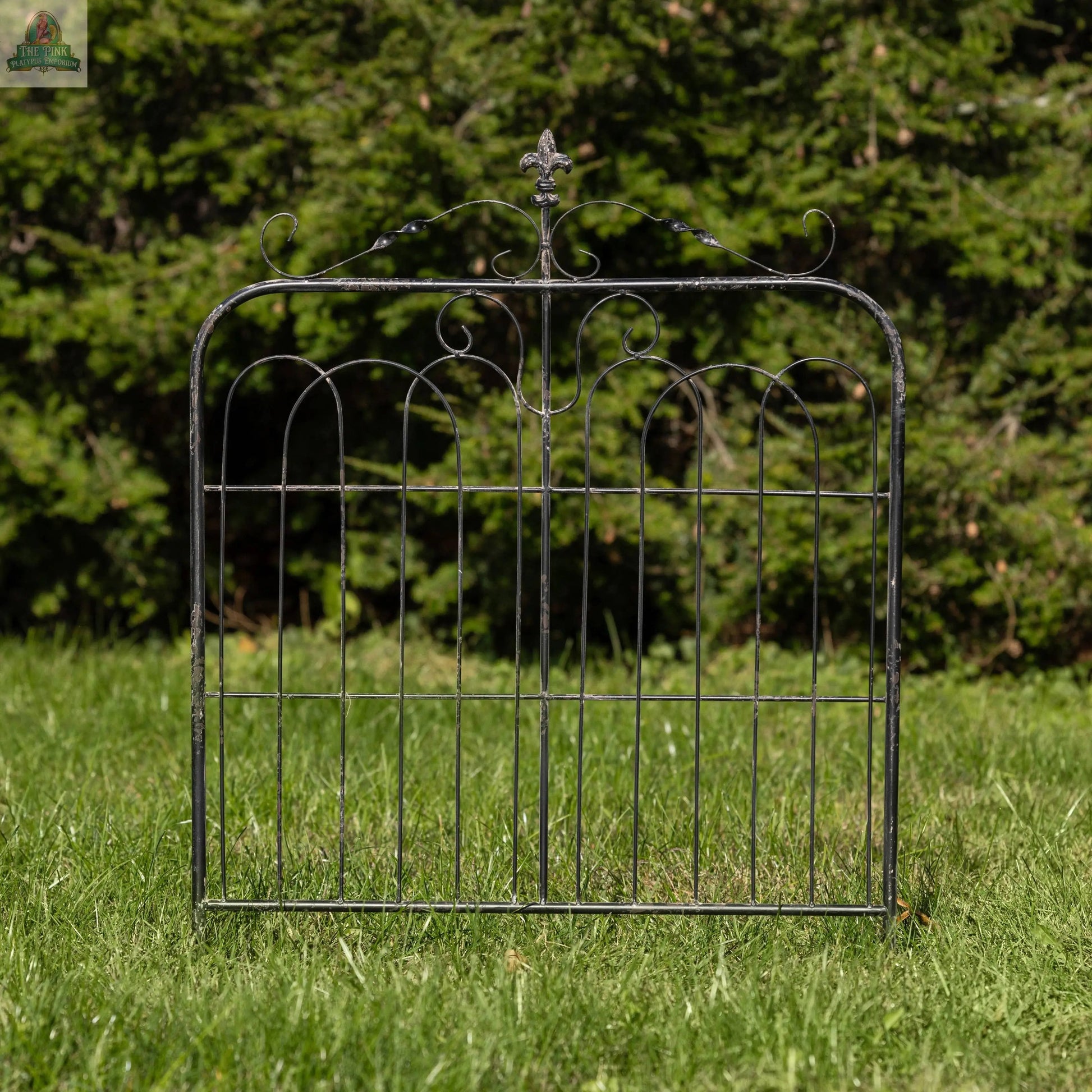 The 32" AGED BLACK GARDEN GATE, featuring ornate scrollwork, stands on a grassy lawn with dense green trees in the background under bright sunlight.