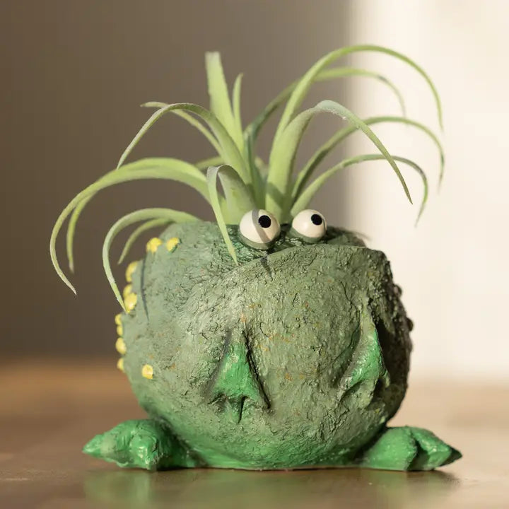 frog blobhouse planter and succulent pot with air plant on a neutral background