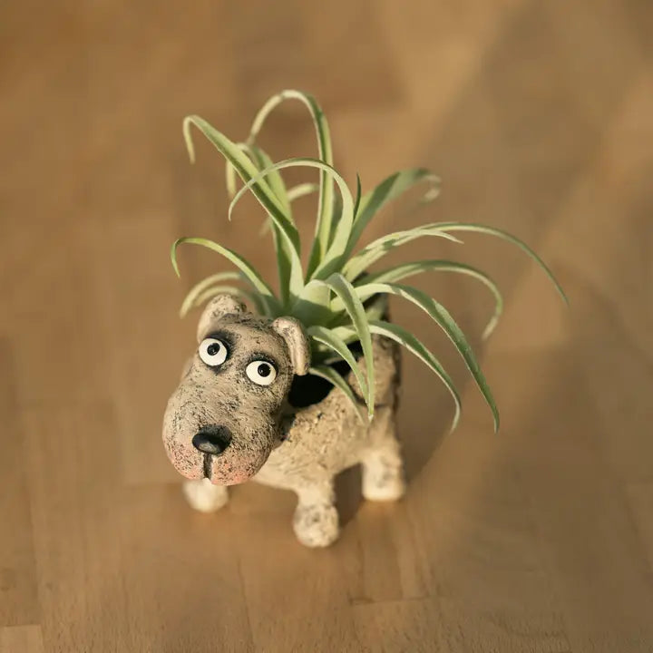Ceramic dog-shaped planter with an air plant on a wooden surface