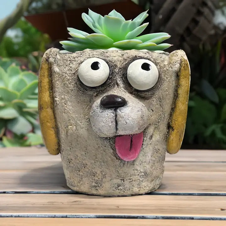 Dog-shaped planter with succulent on a wooden surface