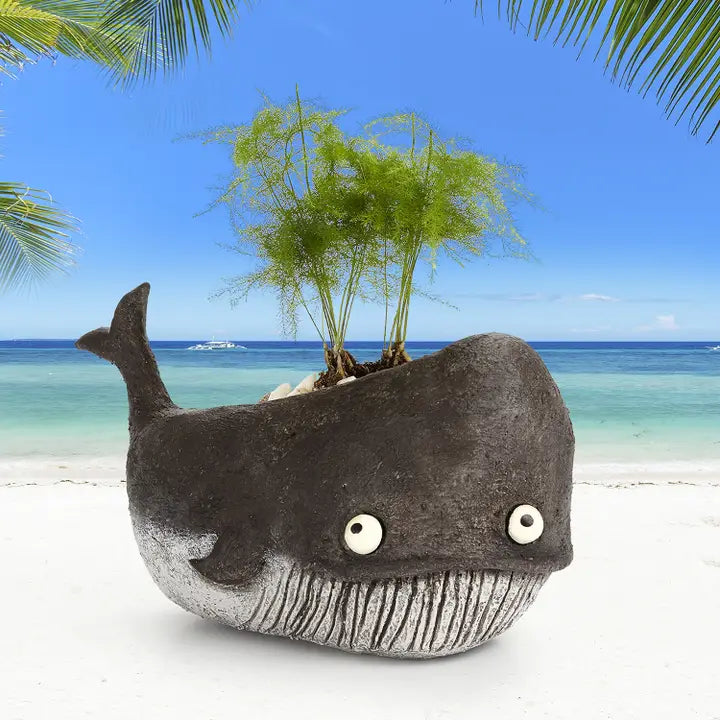 Ceramic whale planter with plants on a beach