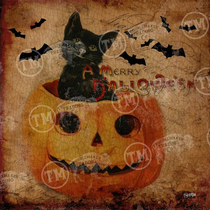 Halloween-themed artwork with a black cat in a jack-o'-lantern, surrounded by bats and text on a vintage background.