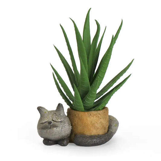 Small potted plant with a cat-shaped pot on a white background