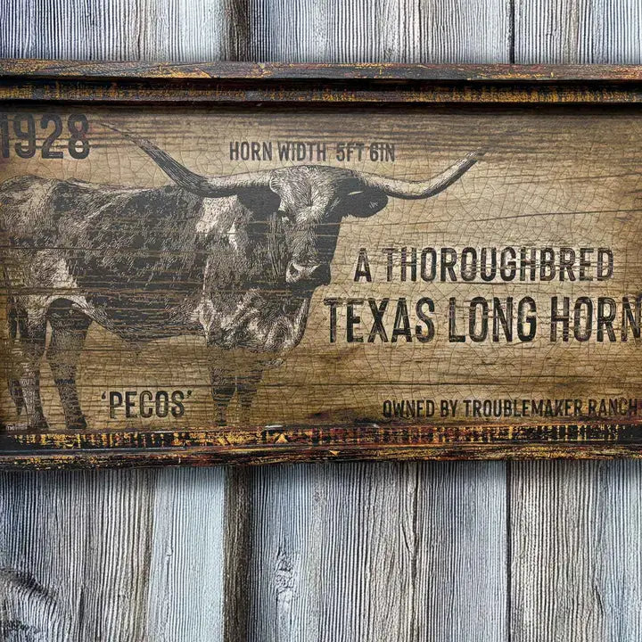 Western wall decor with a Texas Longhorn design and text on a wooden background