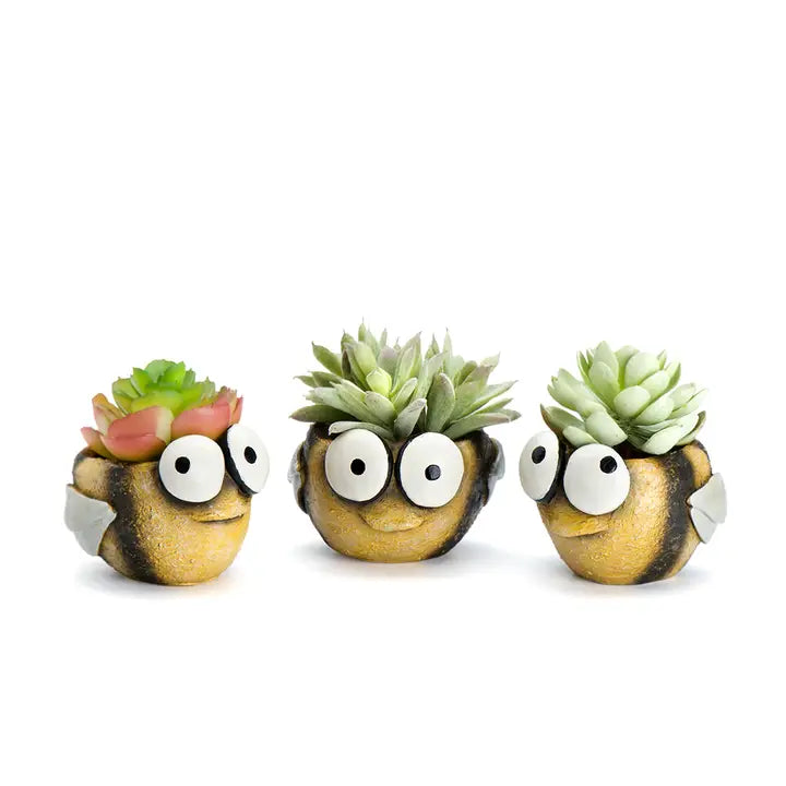 Three bee-shaped planters with succulents on a white background