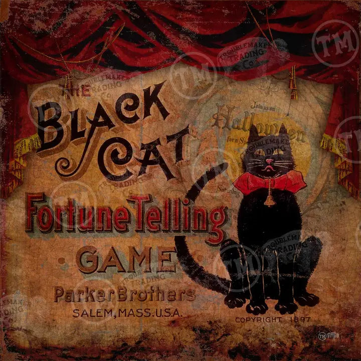 Vintage packaging of a Black Cat Fortune Telling Game by Parker Brothers with a black cat illustration.