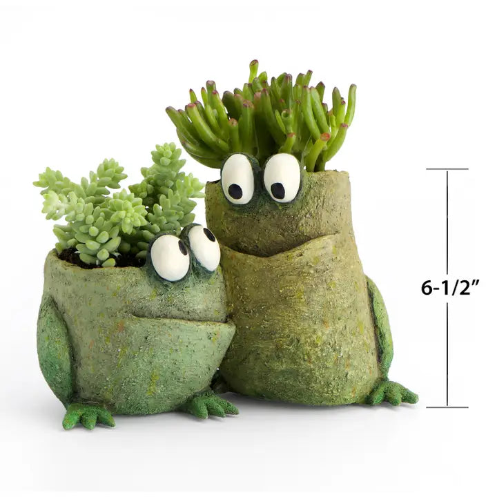 Two frog-shaped planters with succulents and googly eyes, with a measurement label on a white background.