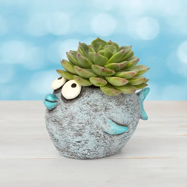 fish-shaped planter with succulent on a light wooden surface and blue blurred background