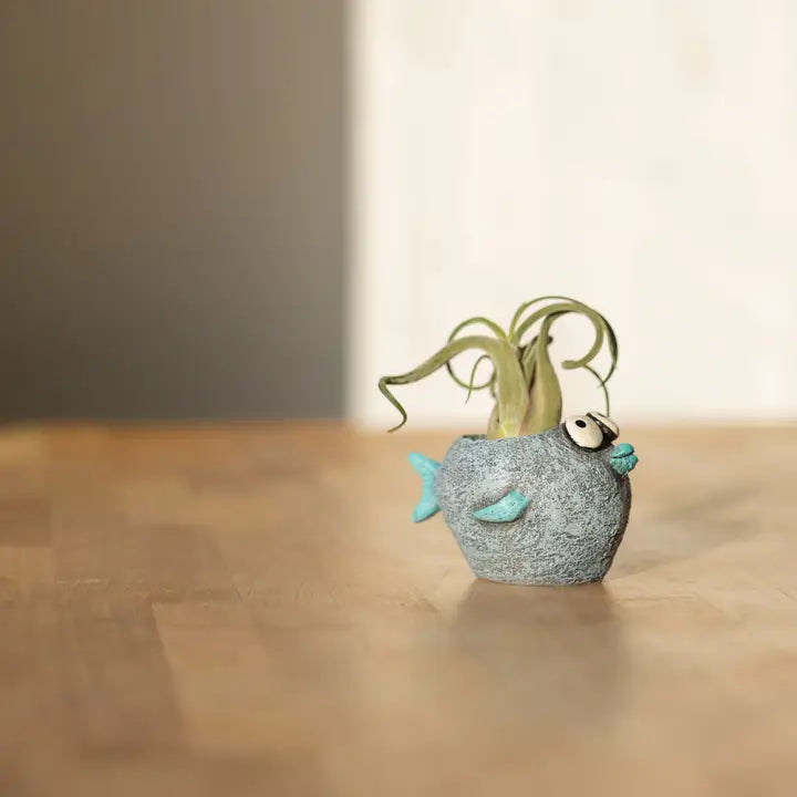 Decorative fish-shaped planter with a plant on a wooden surface