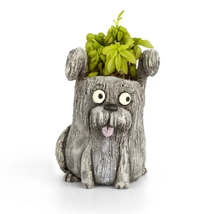 Dog-shaped planter with a plant on a white background