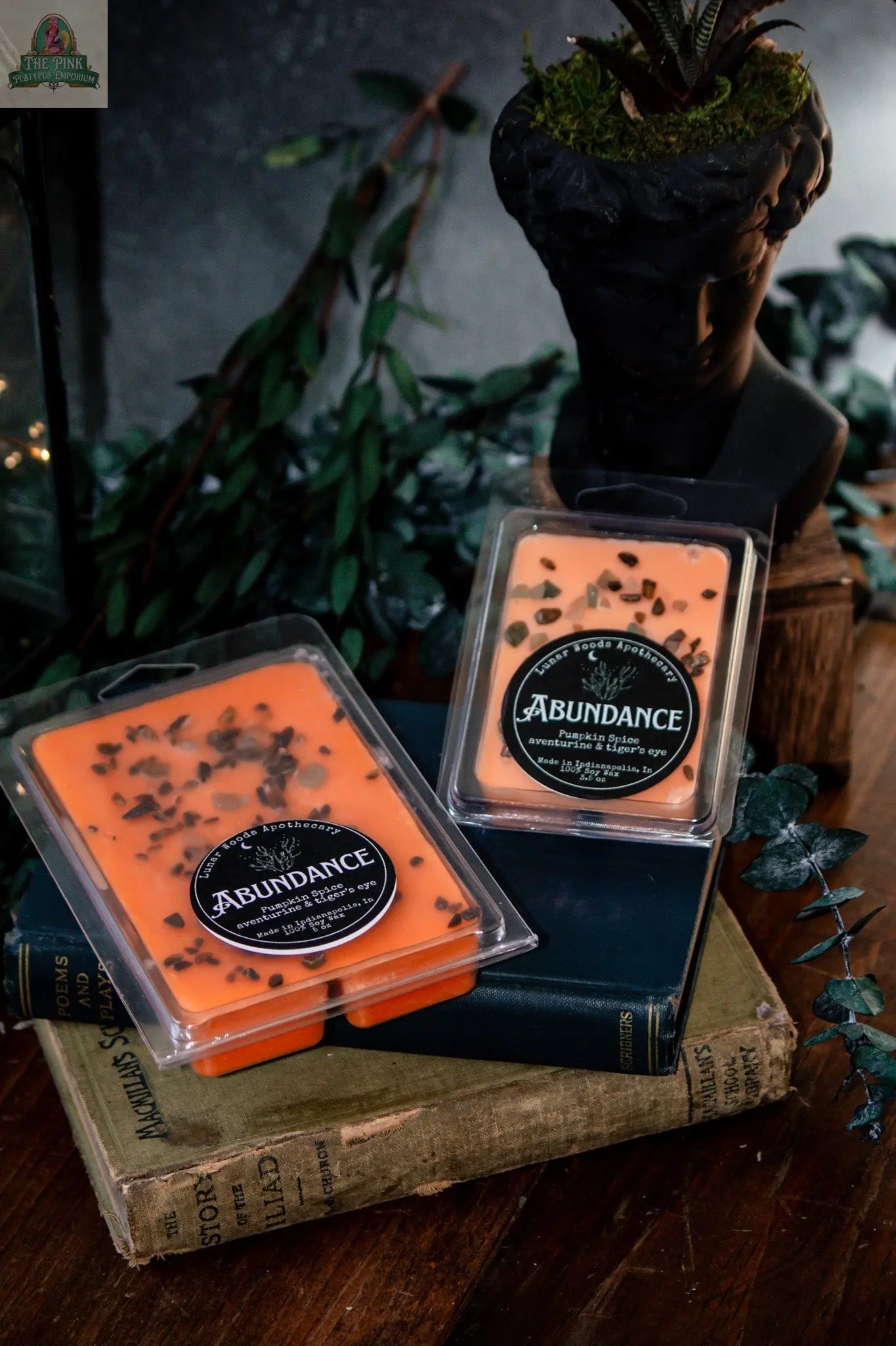 Two orange Abundance — Witchy Wax Melts packs rest on vintage books with green leaves around them, while a black head planter holding a small plant sits in the background, creating a cozy autumn vibe.