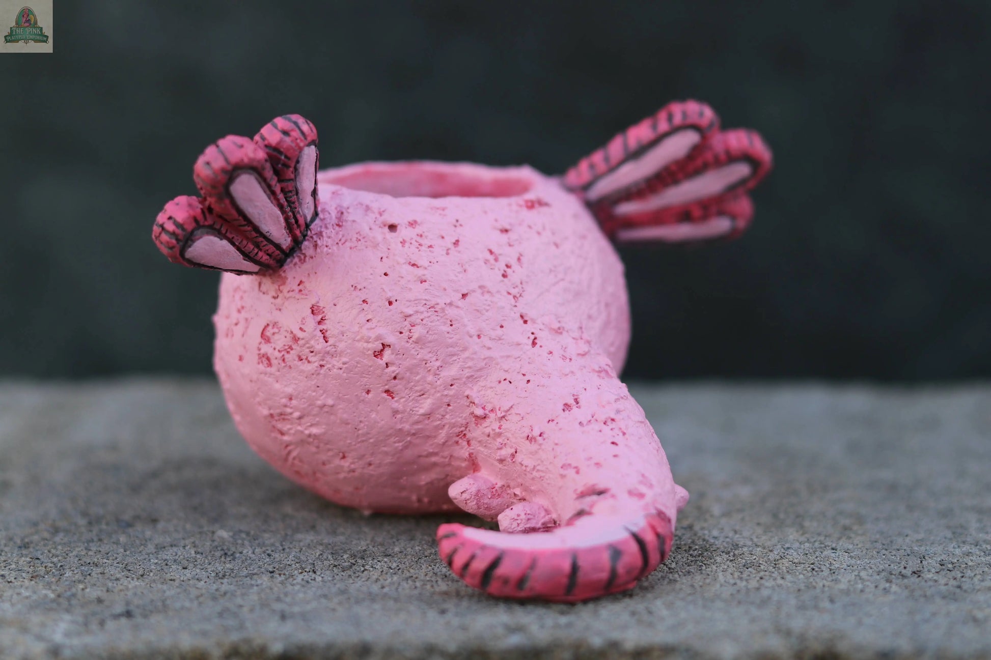 Alexander Axolotl Baby Salamander Blobhouse Planter Pink Platypus Emporium