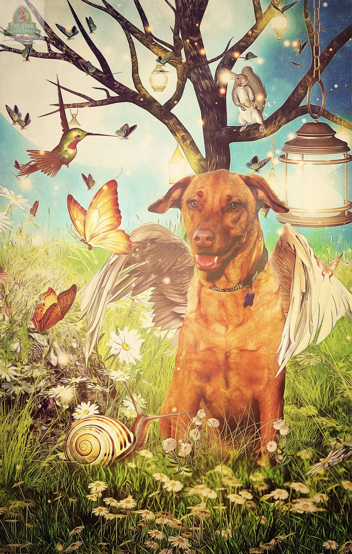 Angels of Healing and Hope Oracle REDFeather