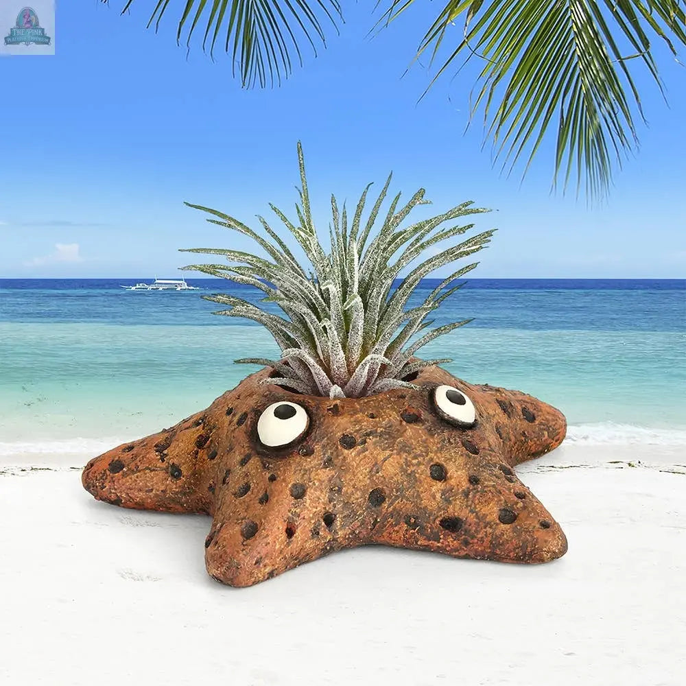 Asters Star Fish Blobhouse Planter Pink Platypus Emporium