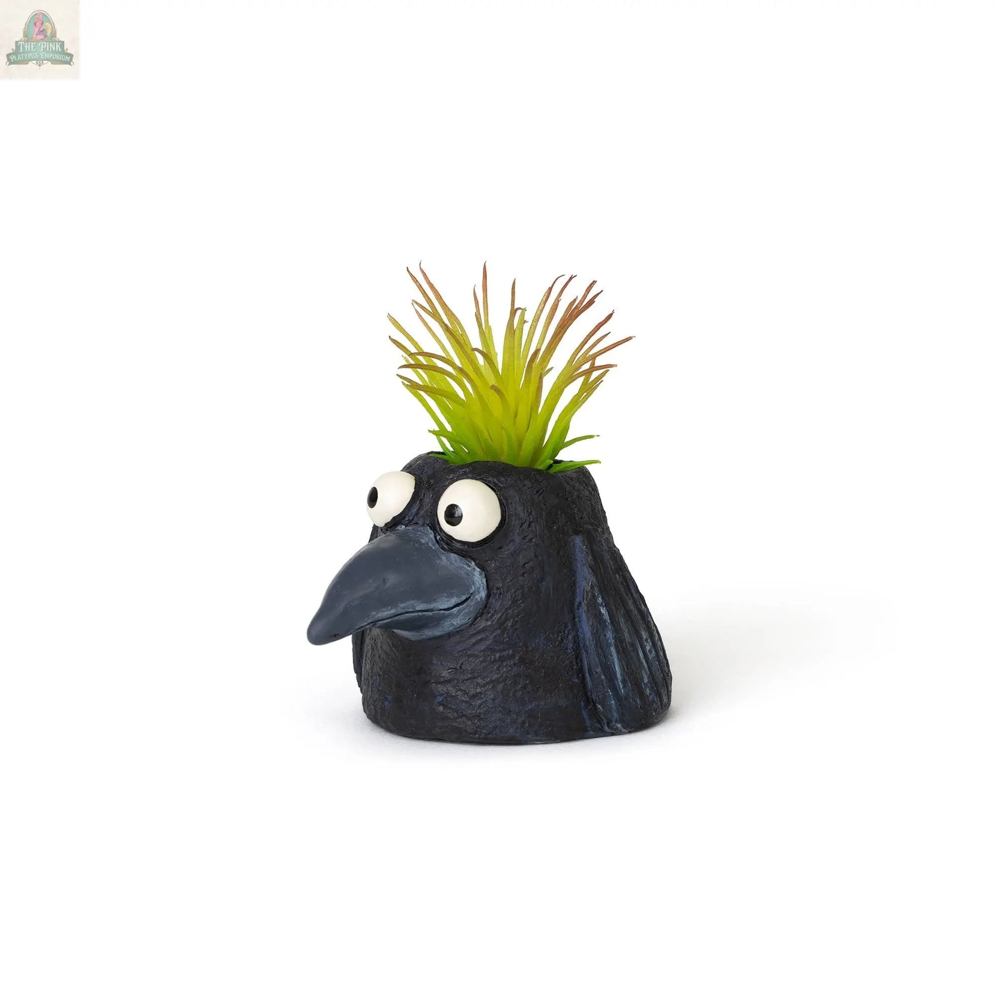 The Baby Eddie Crow Blobhouse Planter is a small, black, bird-shaped poly-resin planter with googly eyes and a beak, featuring a green air plant on top—ideal for bringing quirky charm to your home décor.